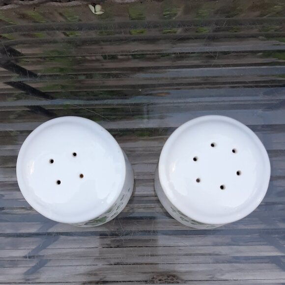 Corning-Corelle Coordinates Ivy Swirl Salt and Pepper Shakers Set - Picture 4 of 8